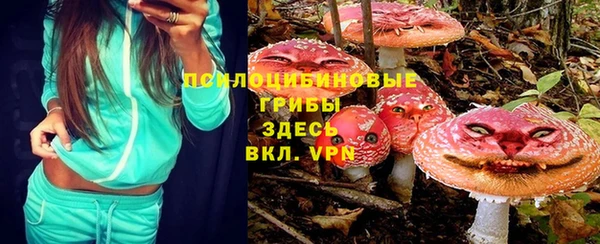 2c-b Надым