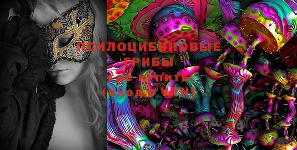 2c-b Надым