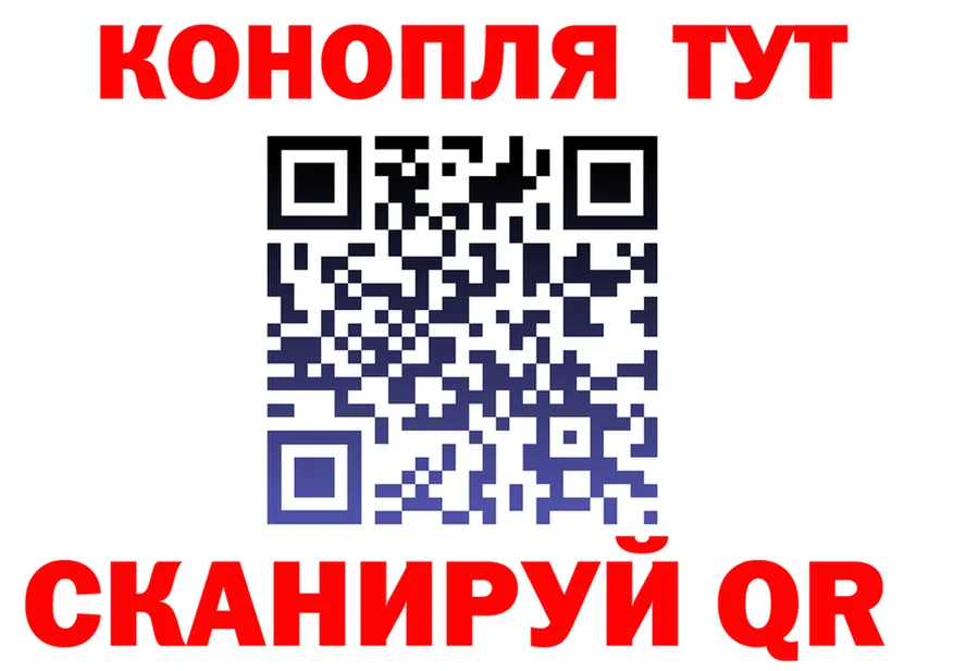 МЕФ 4 MMC tor площадка мега Холм