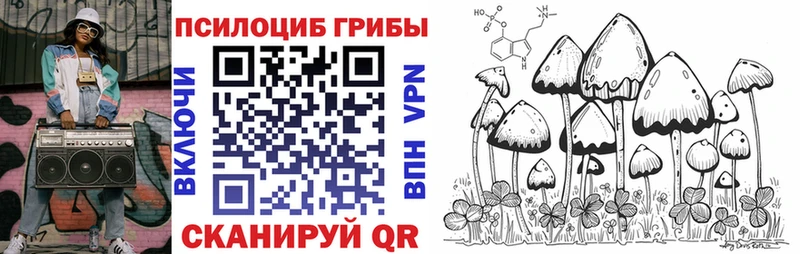 купить закладку  Холм  Псилоцибиновые грибы Psilocybine cubensis 